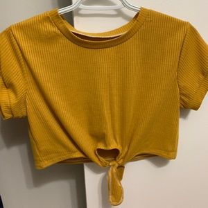 American Eagle Crop Top